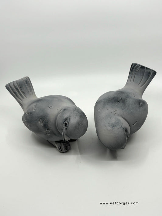 Vogelserie 051
