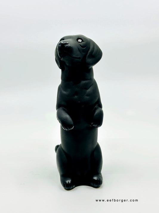 Hondenserie 004