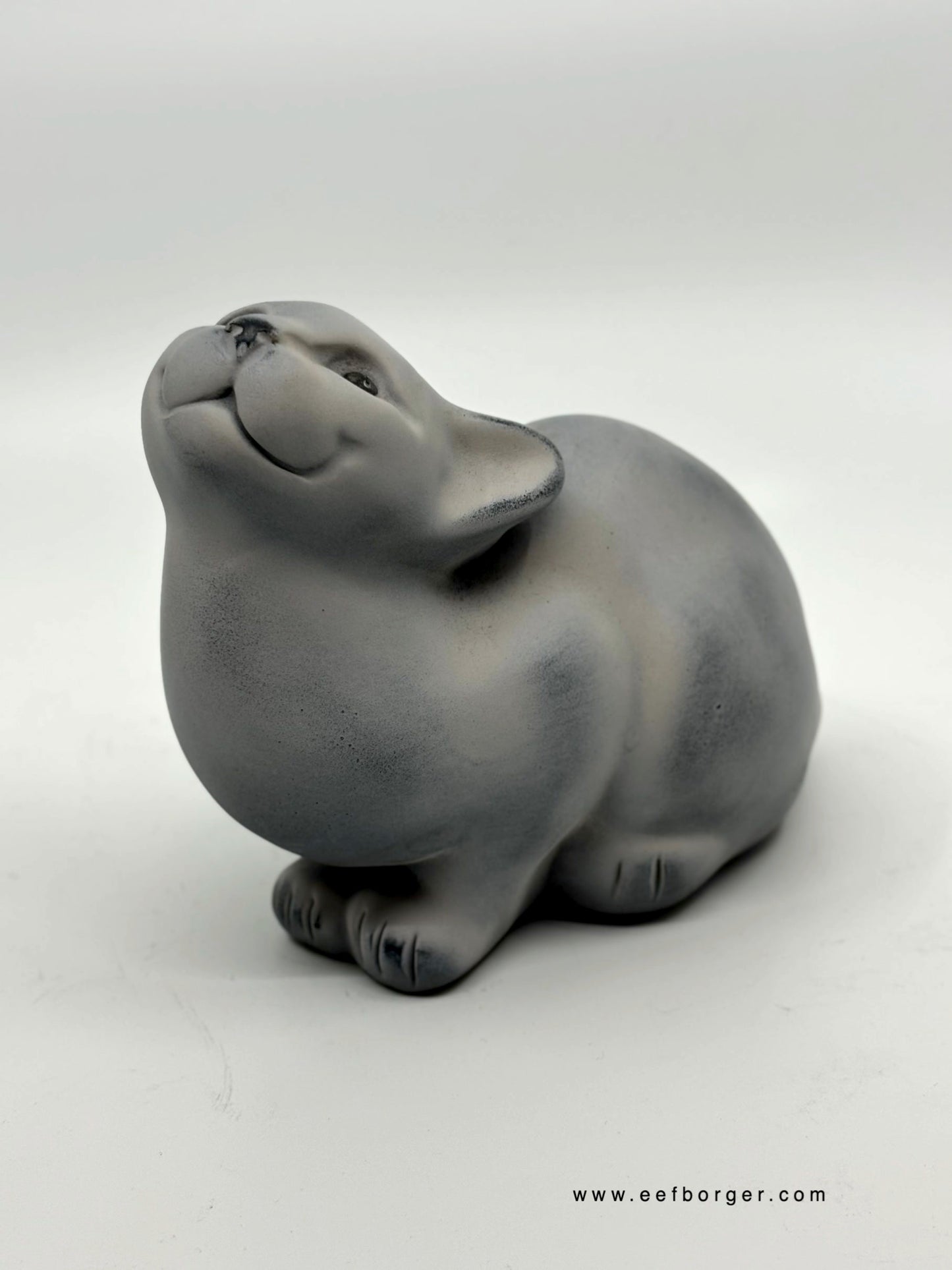 Kattenserie 016