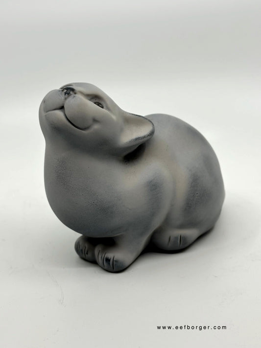 Kattenserie 016
